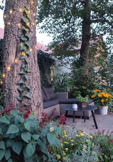 Apartament Stilvoll Und Gemuetlich - Wohnen Mit Flair Albstadt Zewnętrze zdjęcie